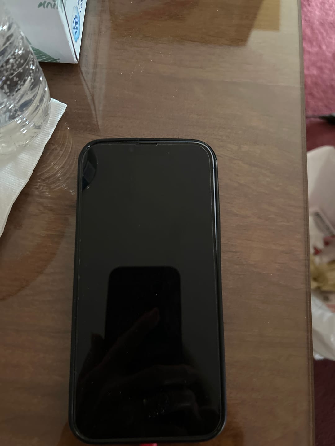 Customer photo review of Personalized Family Name America 250th Anniversary Phone Case