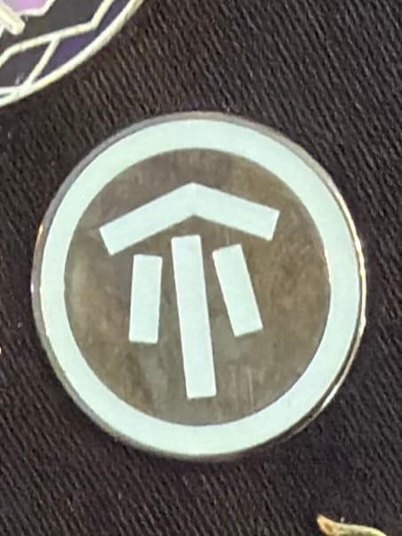 Customer photo review of Rain World - Karma Symbol Glow in the Dark Pins - Survival