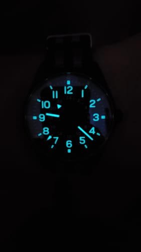 Customer photo review of Overlord (VIP)