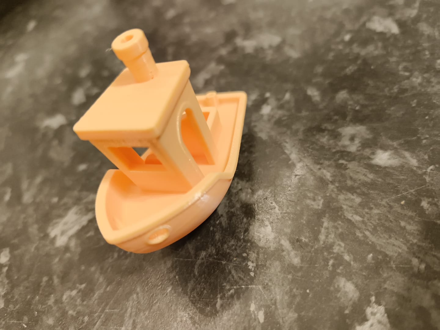 Customer photo review of PLA Basic