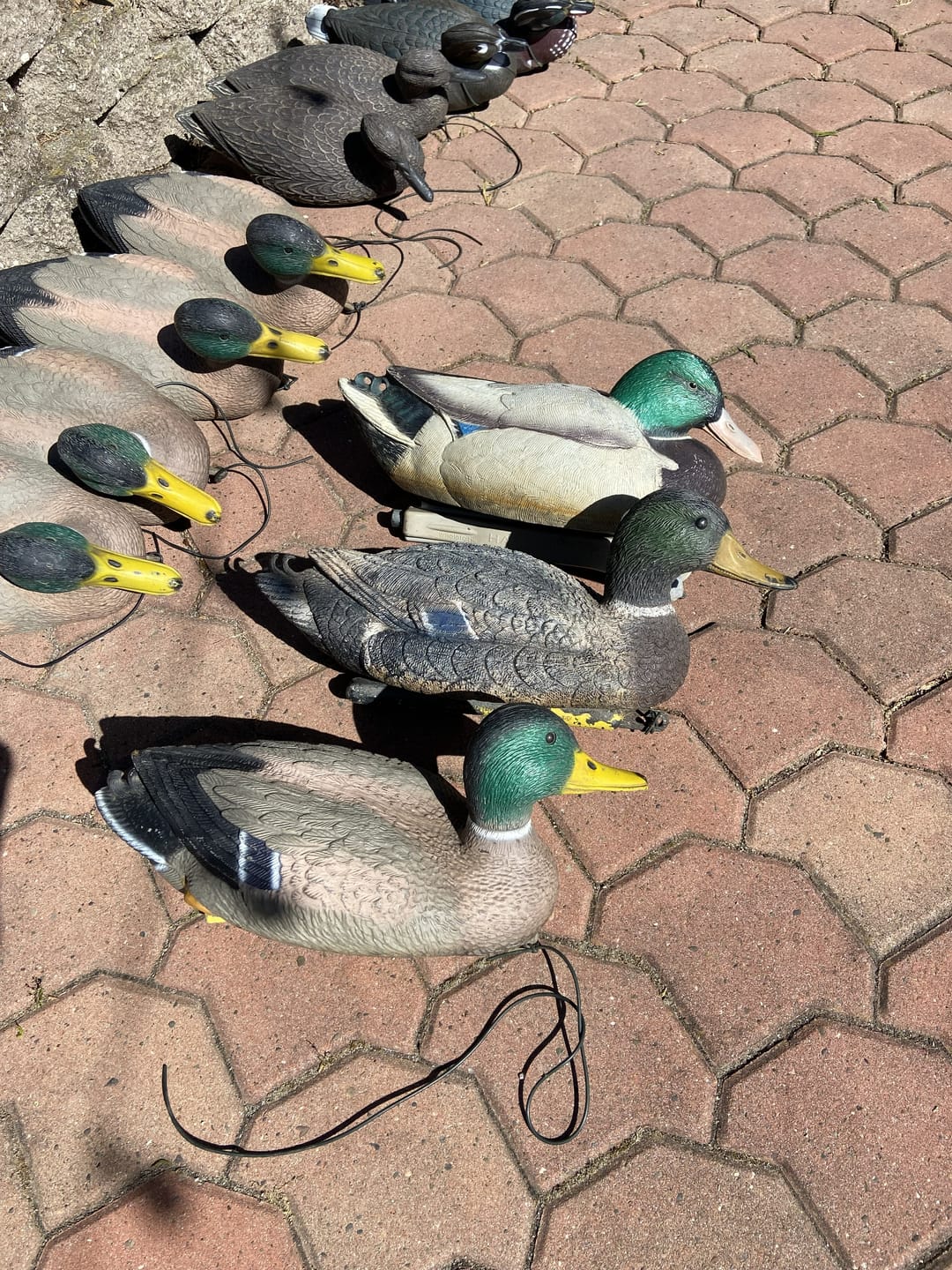 Customer photo review of Decoy Paint Single Color - 8oz