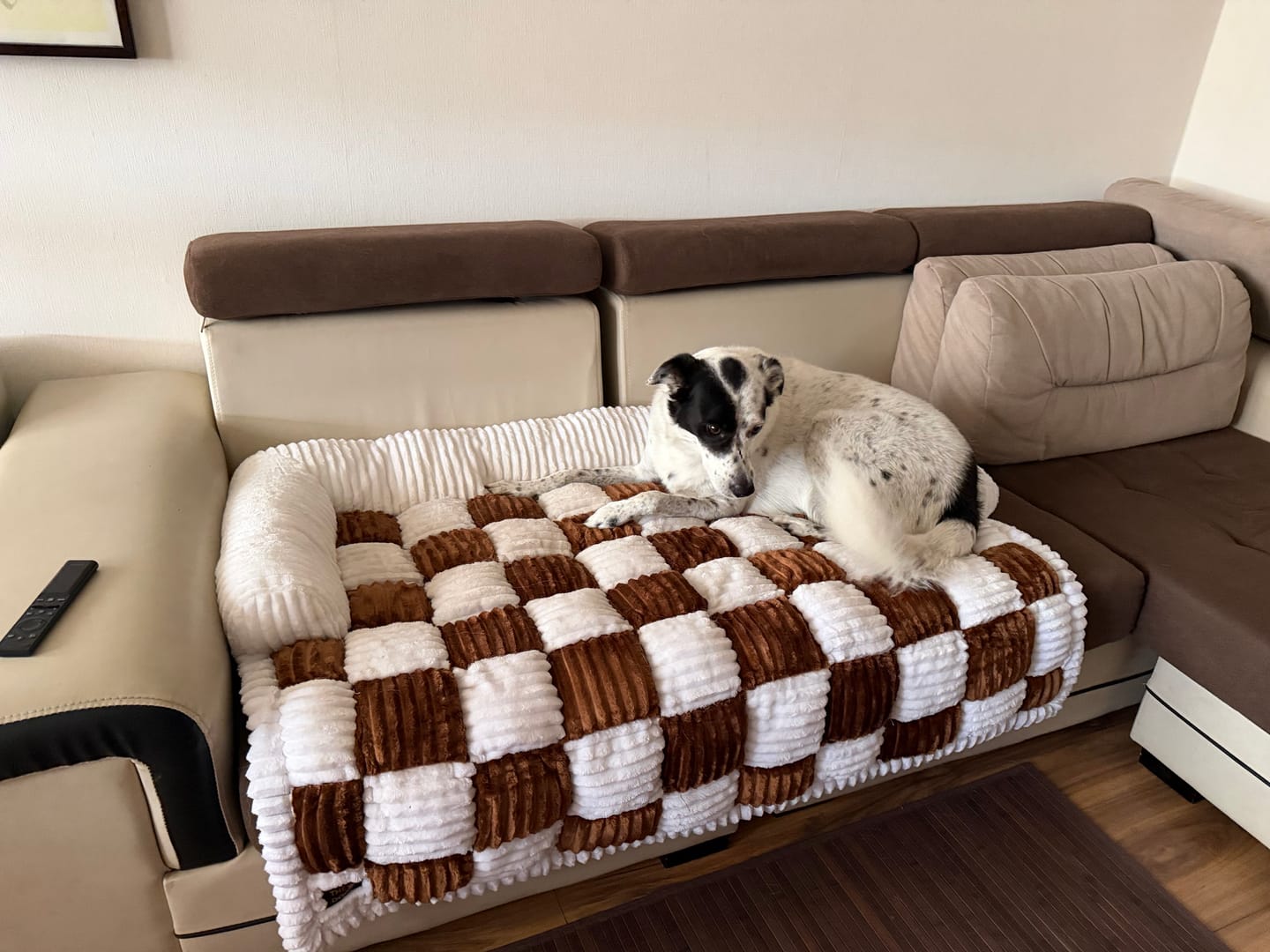 Customer photo review of Camita de Sillón Signature — Su lugar oficial en el sillón
