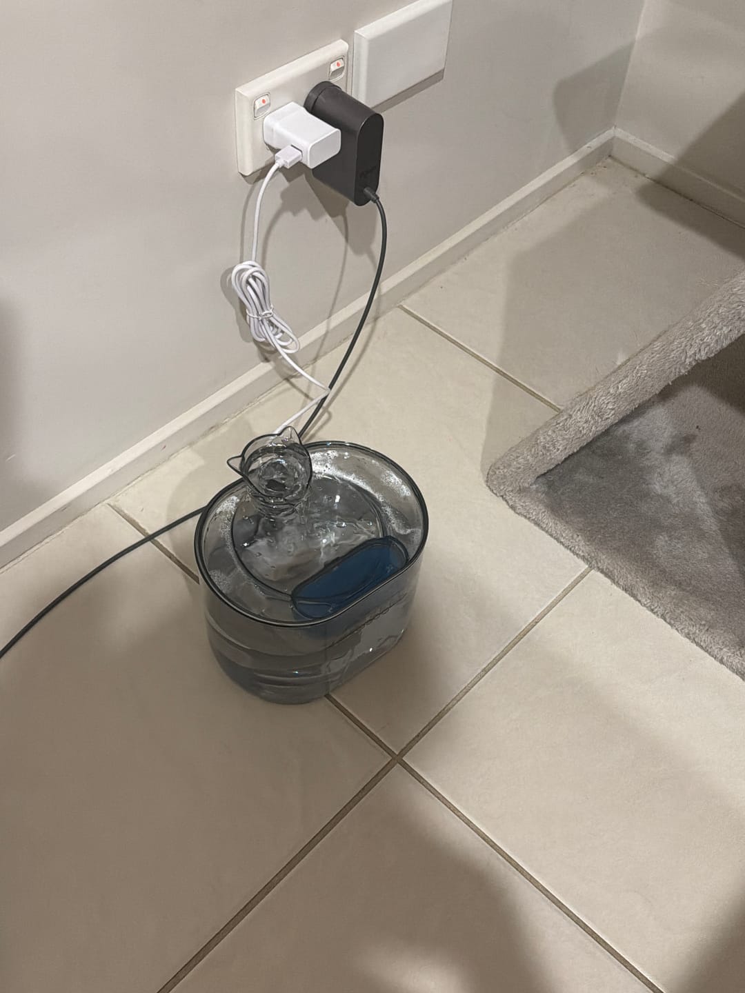 Customer photo review of 2.2L Transparent Pet Water Fountain with Dual Flow Mode