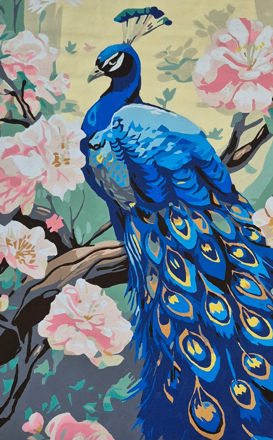 Customer photo review of Charming Peacock