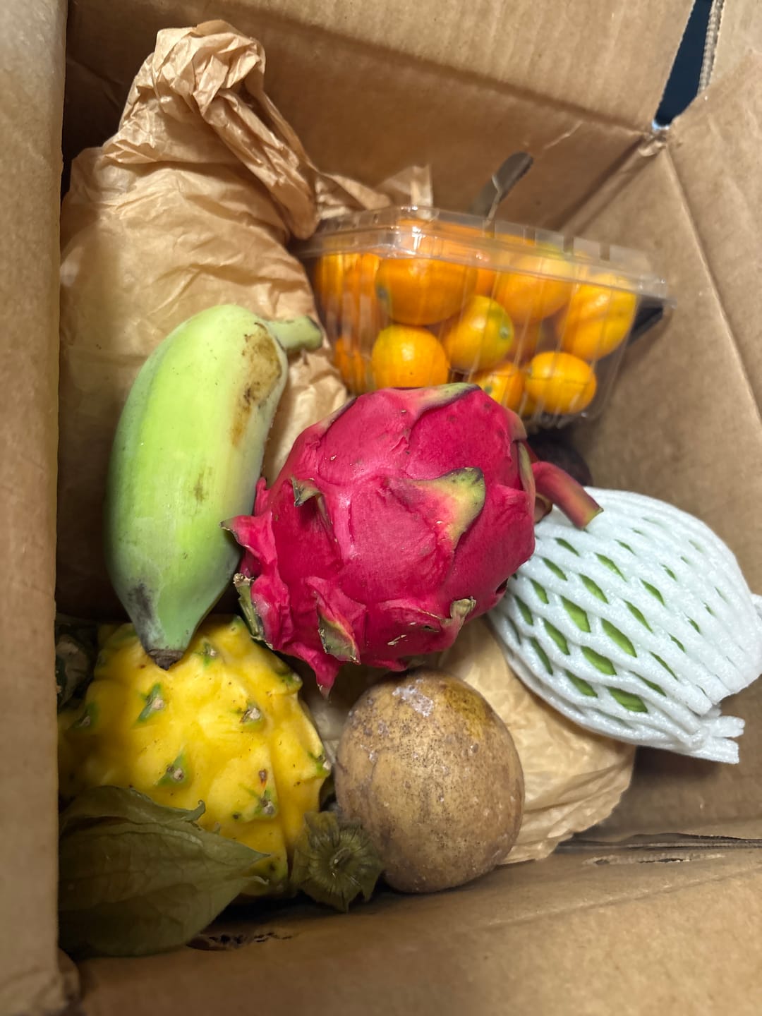 Customer photo review of Variety Box