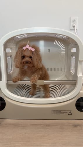 Customer photo review of Pet Dryer Box