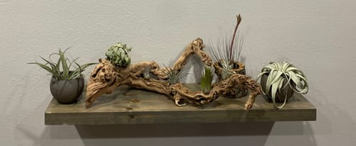 Customer photo review of Rustic Floating Shelves