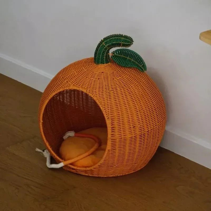 Customer photo review of Tangerine Rattan Pet Bed