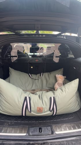 Customer photo review of The Dog Dock V2 New & Improved with ISO Fix
