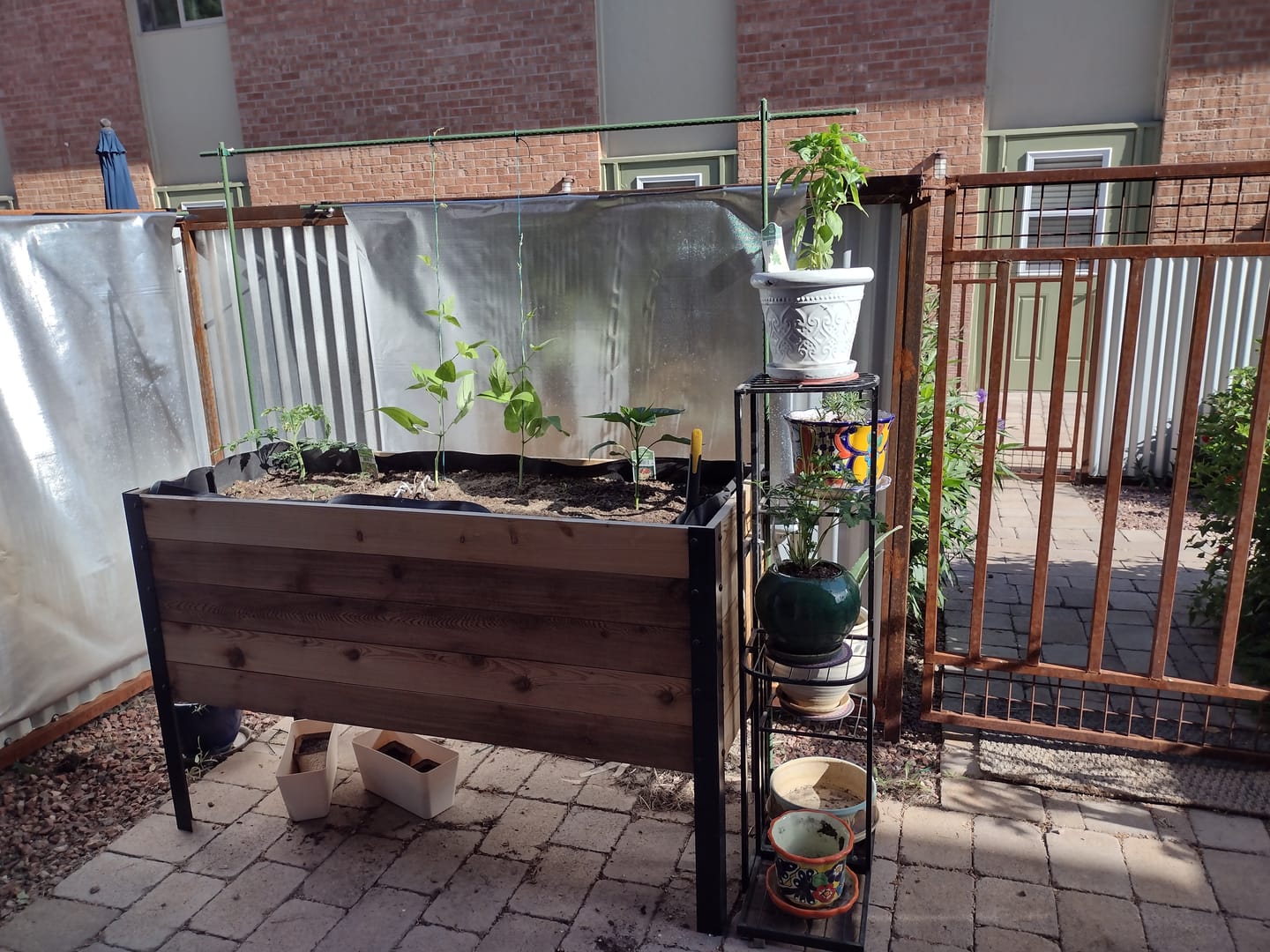 Customer photo review of 18″ x 18″ Planter Box - 24" TALL / Garden Grade