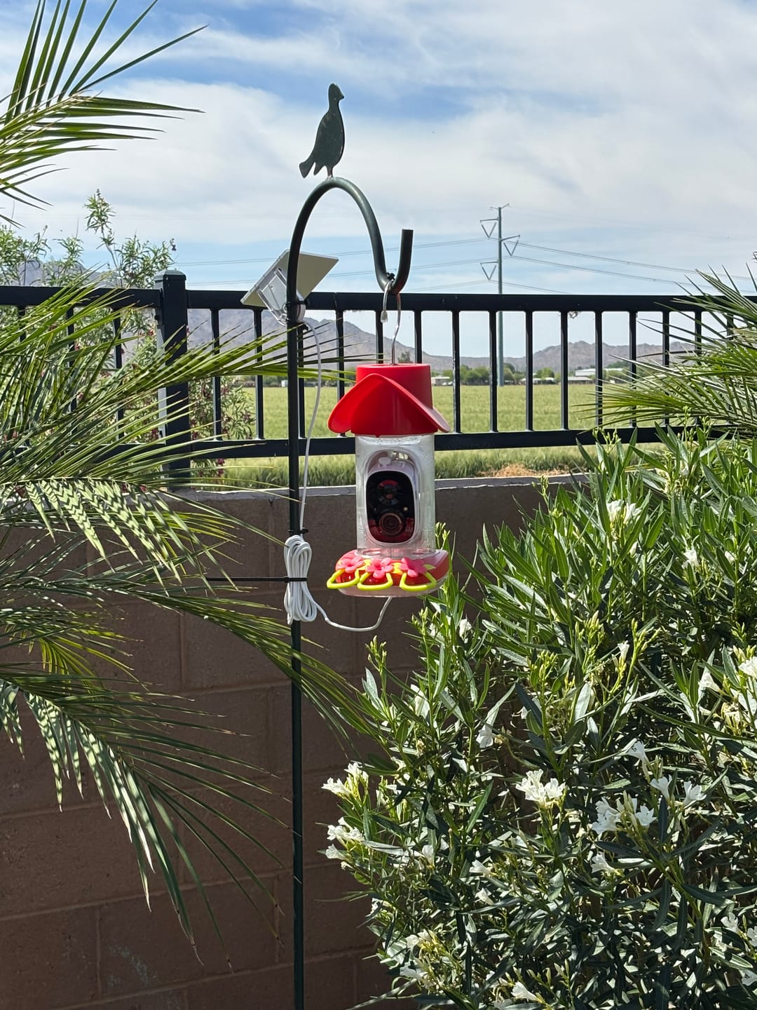 Customer photo review of BirdSnap Smart Hummingbird Feeder with Camera