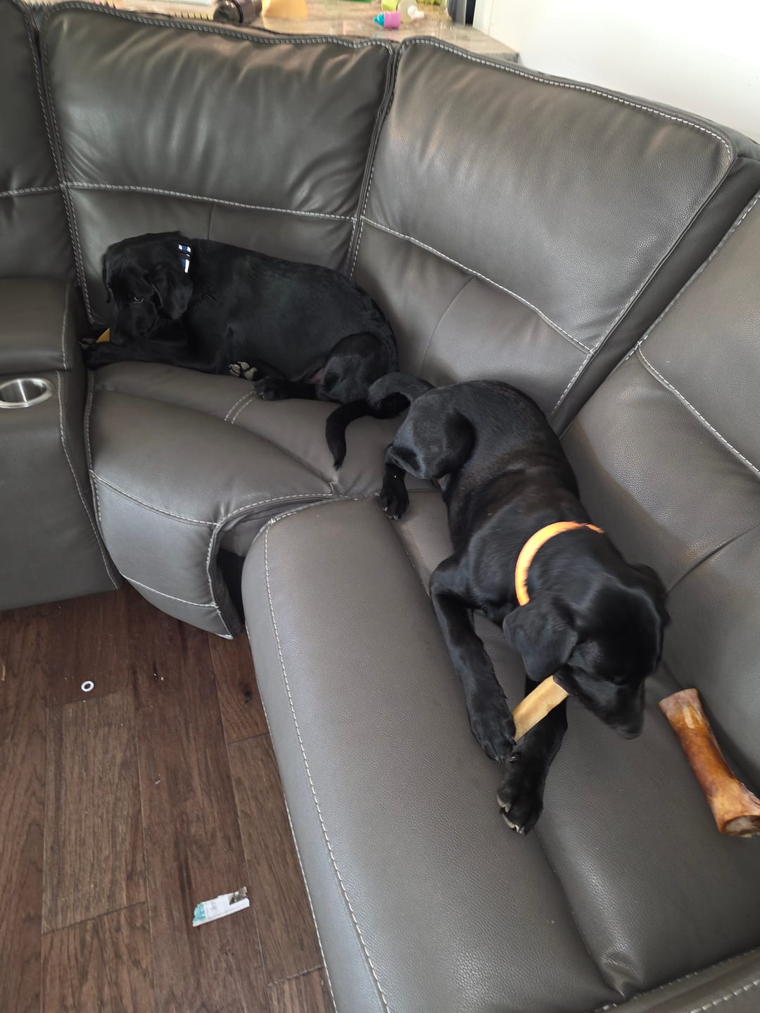 Customer photo review of Gift Bundle: 2 Large Yak Chews and a 6" Hickory Smoked Bully Stick