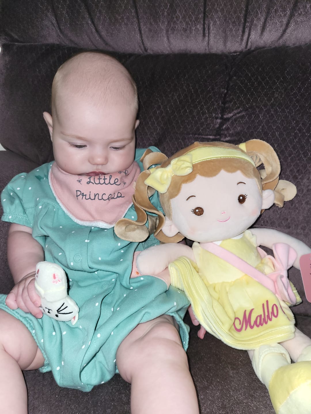 Customer photo review of Personalized Sunny Girl & Her Pet