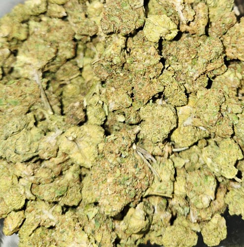 White Gelato - Bulk - Indica photo review