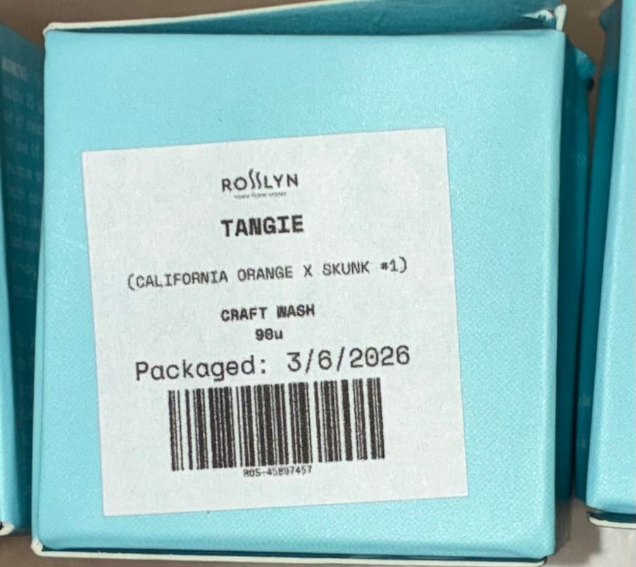 Customer photo review of Tangie (Craft Wash)