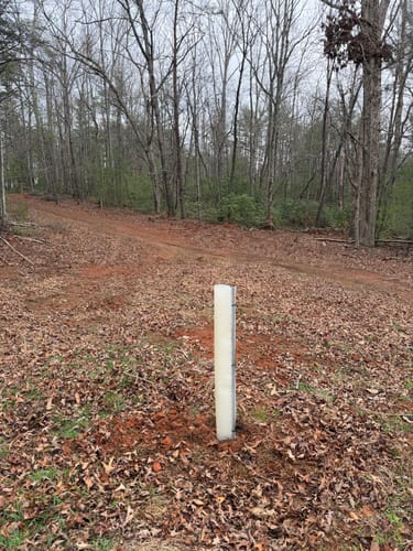 Customer photo review of Tree Pro Grow Tubes