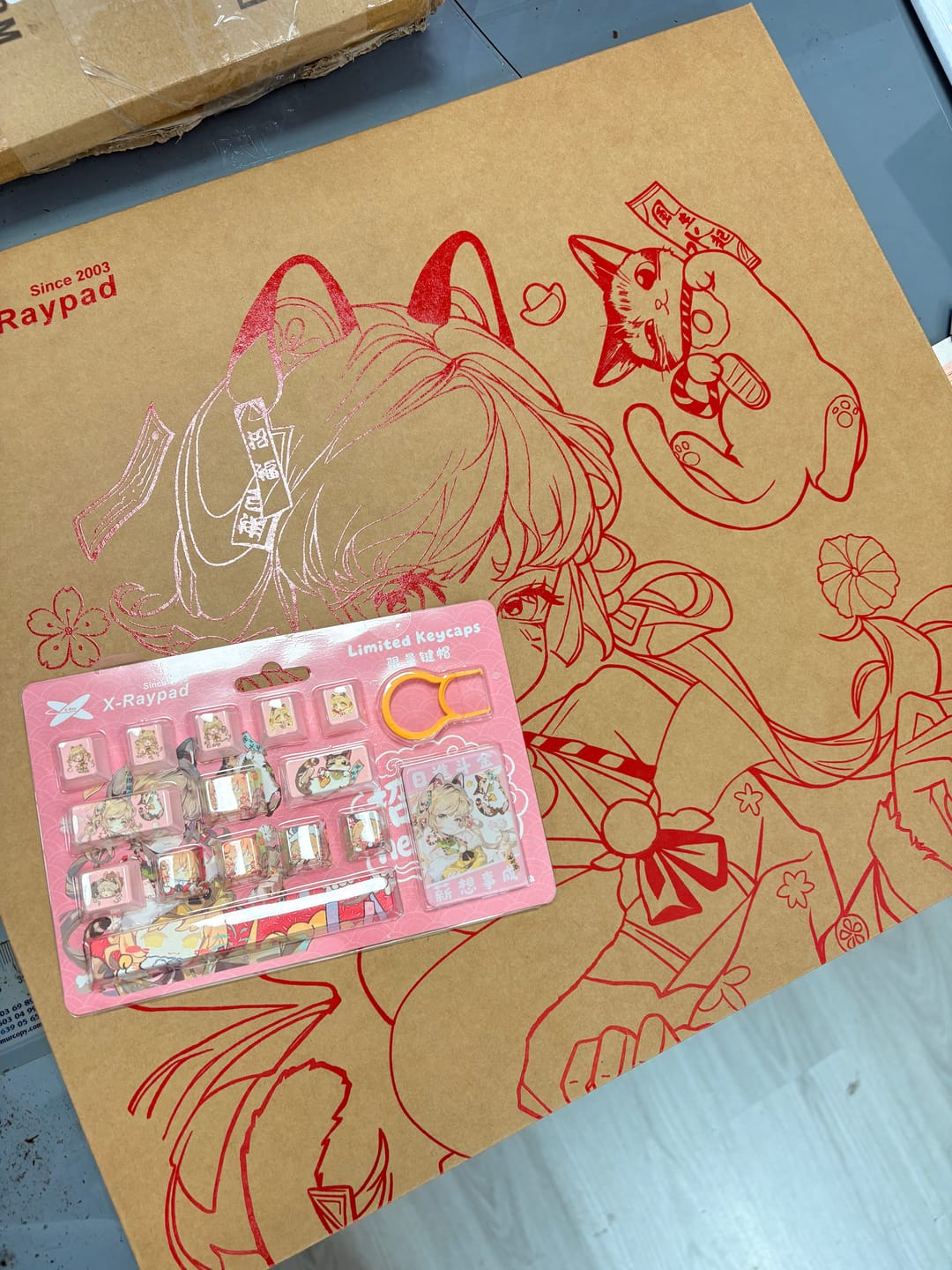 Customer photo review of X-Raypad Aqua Control Poron Mousepad