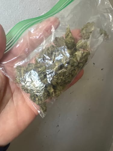 CBD Pre Rolls - Grape Abacus photo review