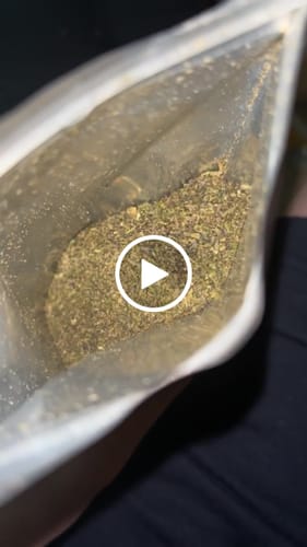 Customer video review of Girl Scout Cookies Shake (BOGO)