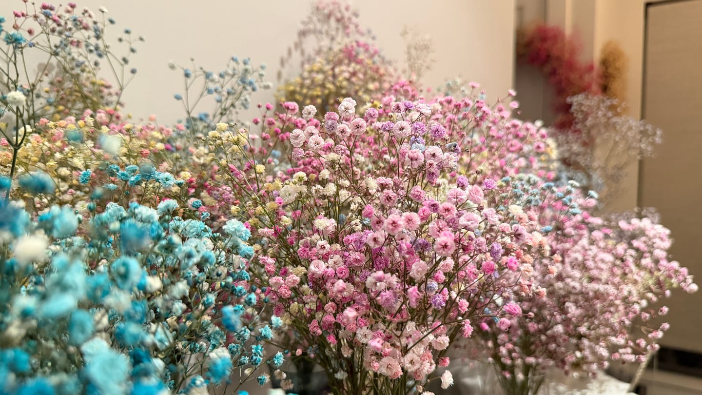 Customer photo review of Pastel Rainbow Tinted Baby's Breath