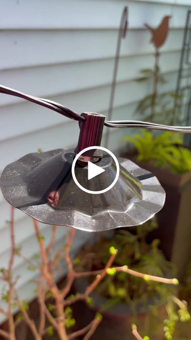 Customer video review of Scallop Patio Metal Light Bulb Shade for Outdoor Commercial String Lights, E12, Black