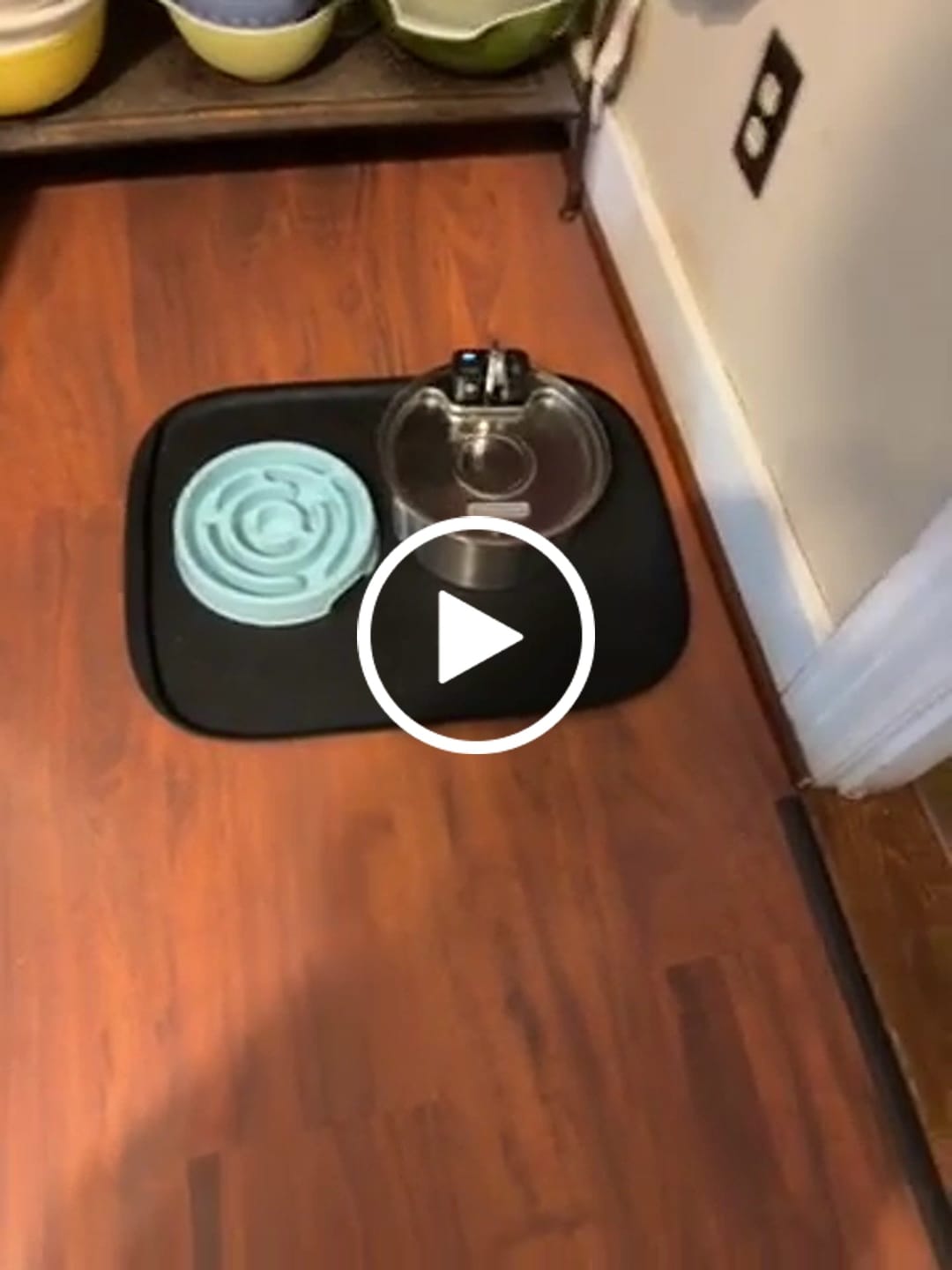Customer video review of Pawdrate™ Filtered Water Fountain (Battery Version)