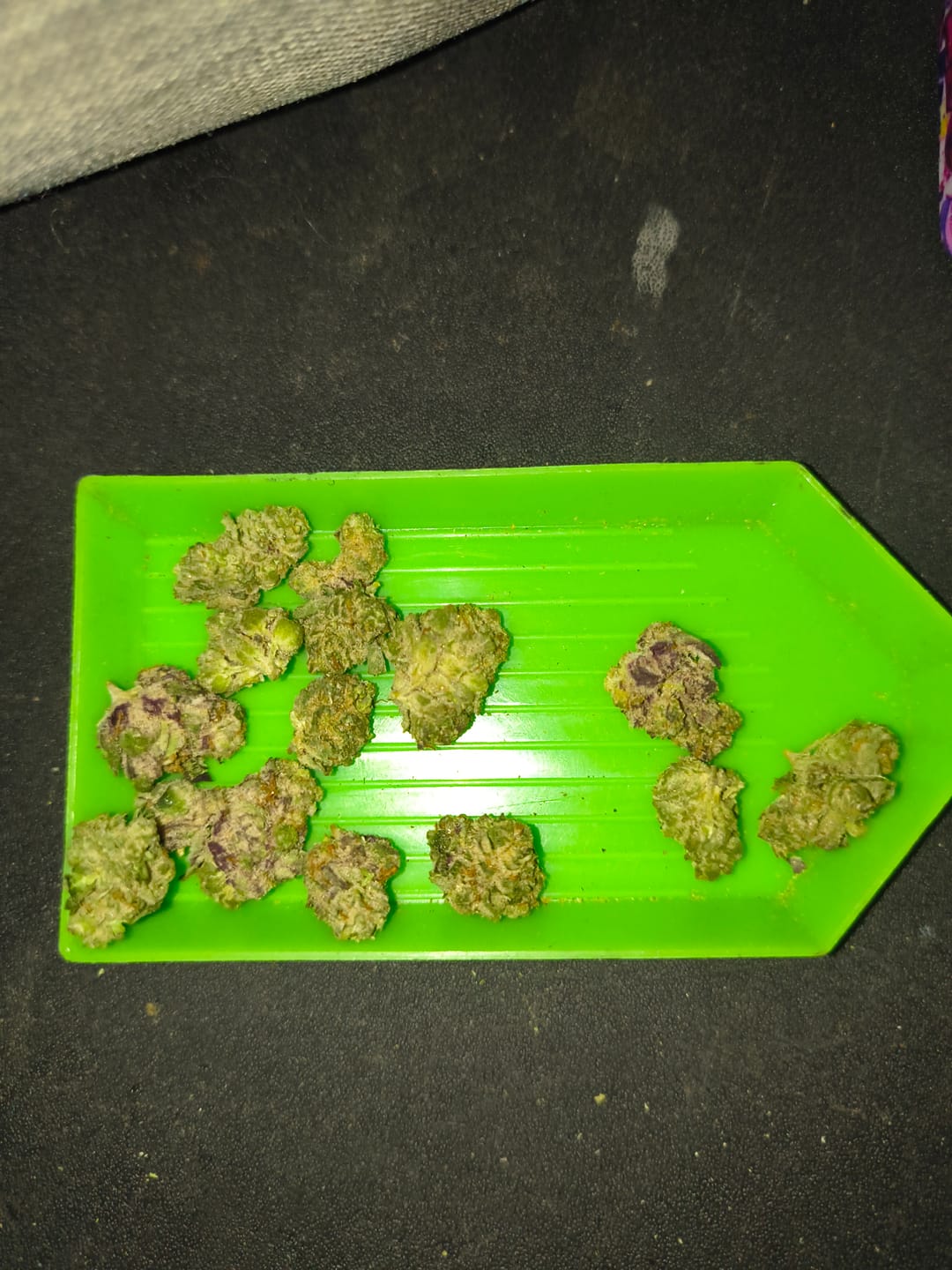 Customer photo review of Sherbet & Haze Indoor Minis - Bulk Minis - Sativa