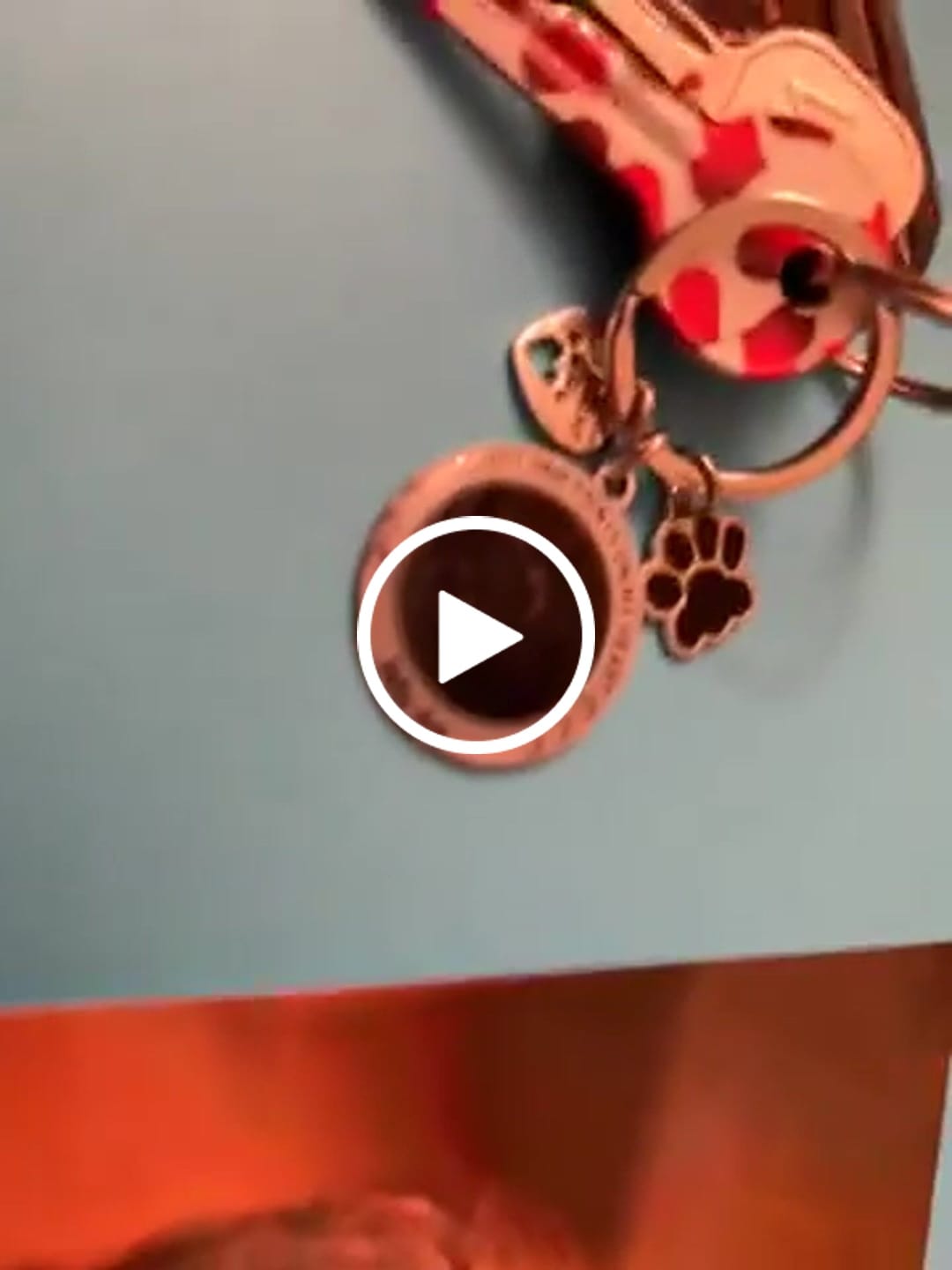 Customer video review of Custom Personalized Photo Keychain Pet Charm Key Ornaments - Memorial Gift for Dog/Cat Lovers - You left paw prints on my heart