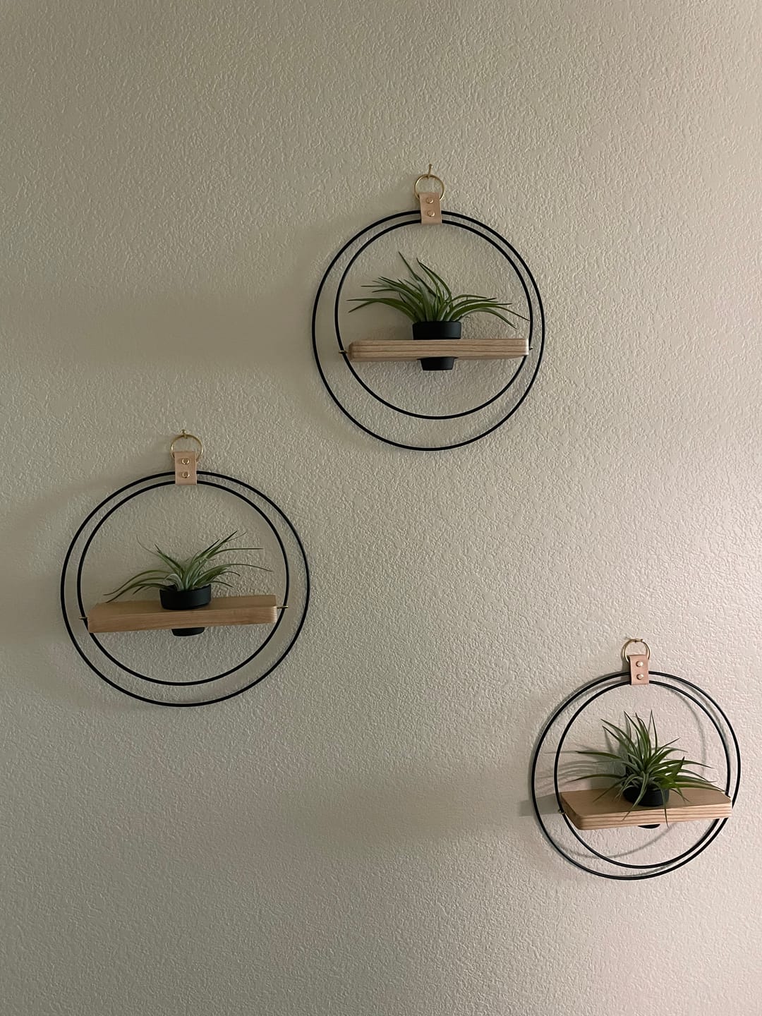 Customer photo review of Air Plant Shelf + Pot Trio