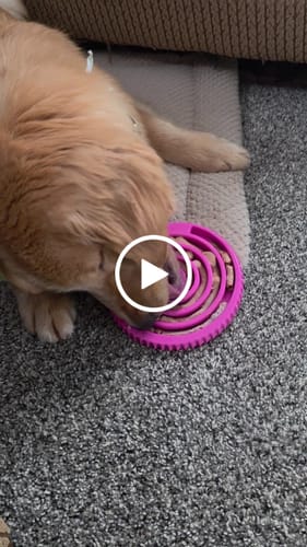 Customer video review of Family Value Bundle