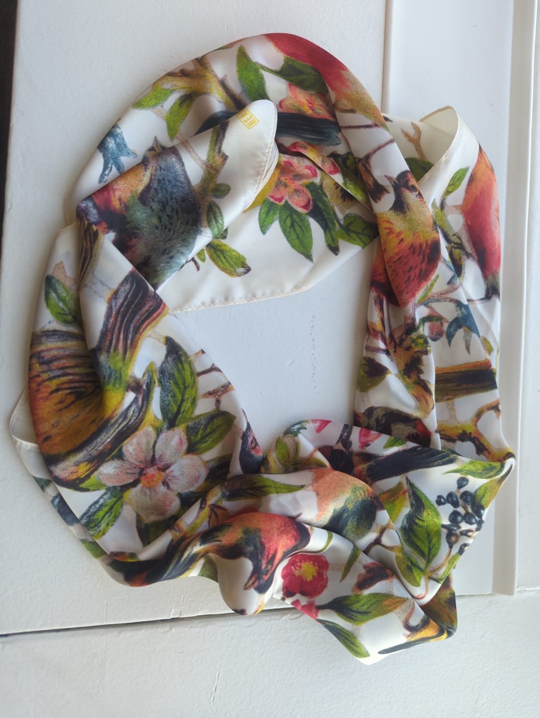 Customer photo review of Flock Silky Scarf