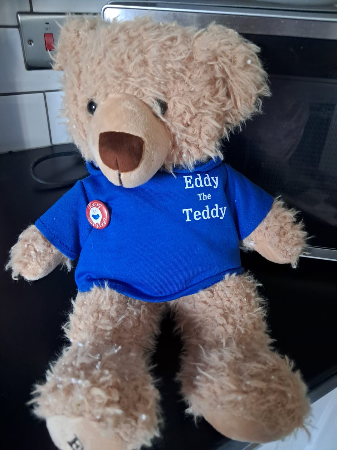 Customer photo review of Eddy the Teddy Fridge Magnet