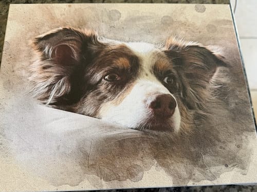 Customer's Personalized Pet portrait on canvas, showing an artistic depiction of their brown and white dog.