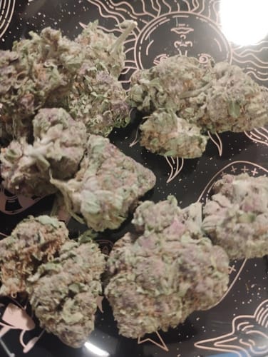 Customer photo review of Granddaddy Purple - 14 Grams - Indica