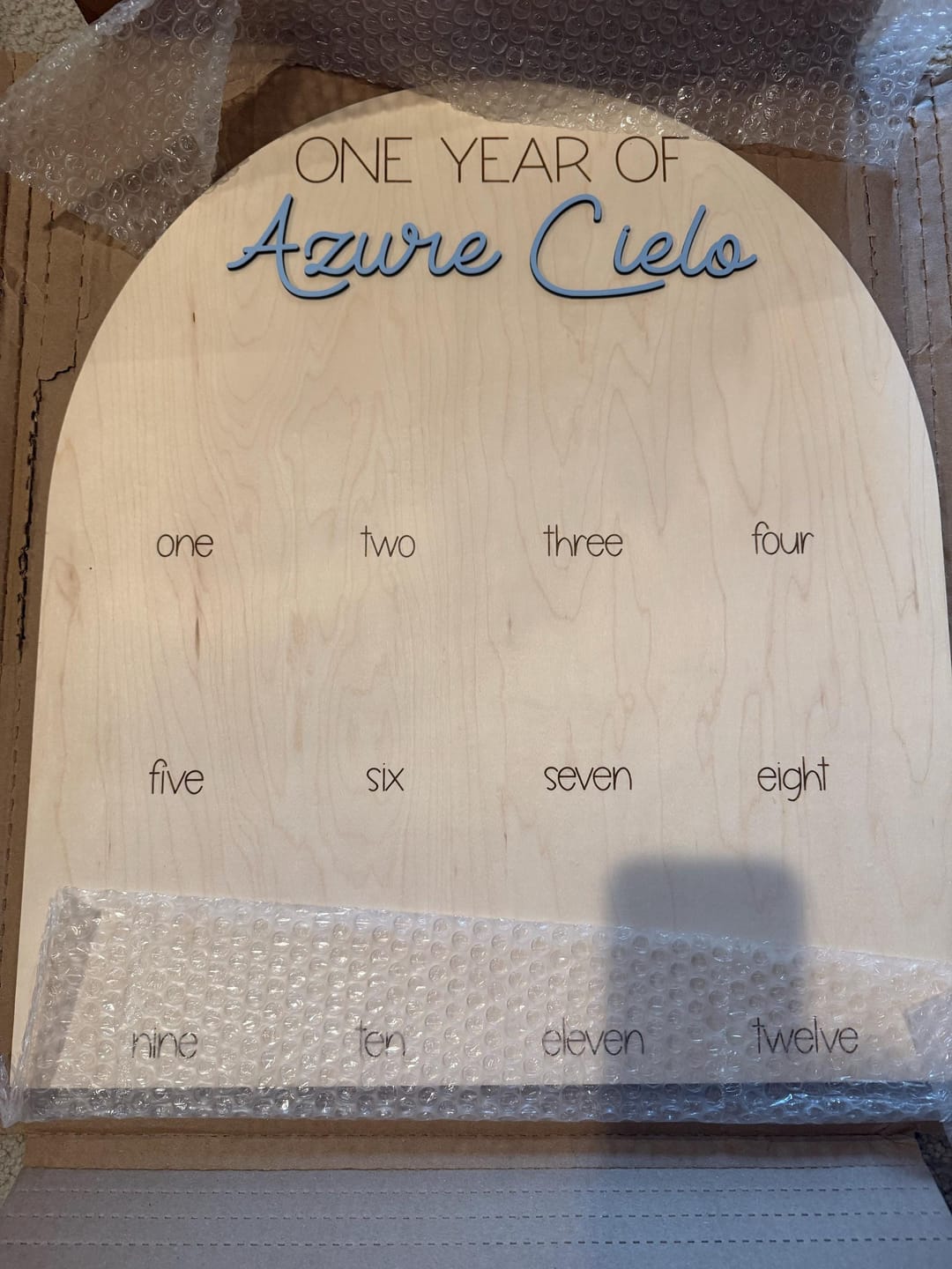 Customer photo review of One Year Of Photo Board