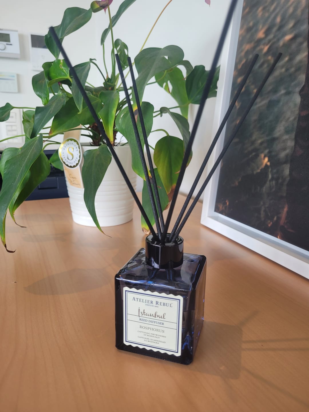 Customer photo review of Istanbul Bosphorus Geurstokjes 120ml