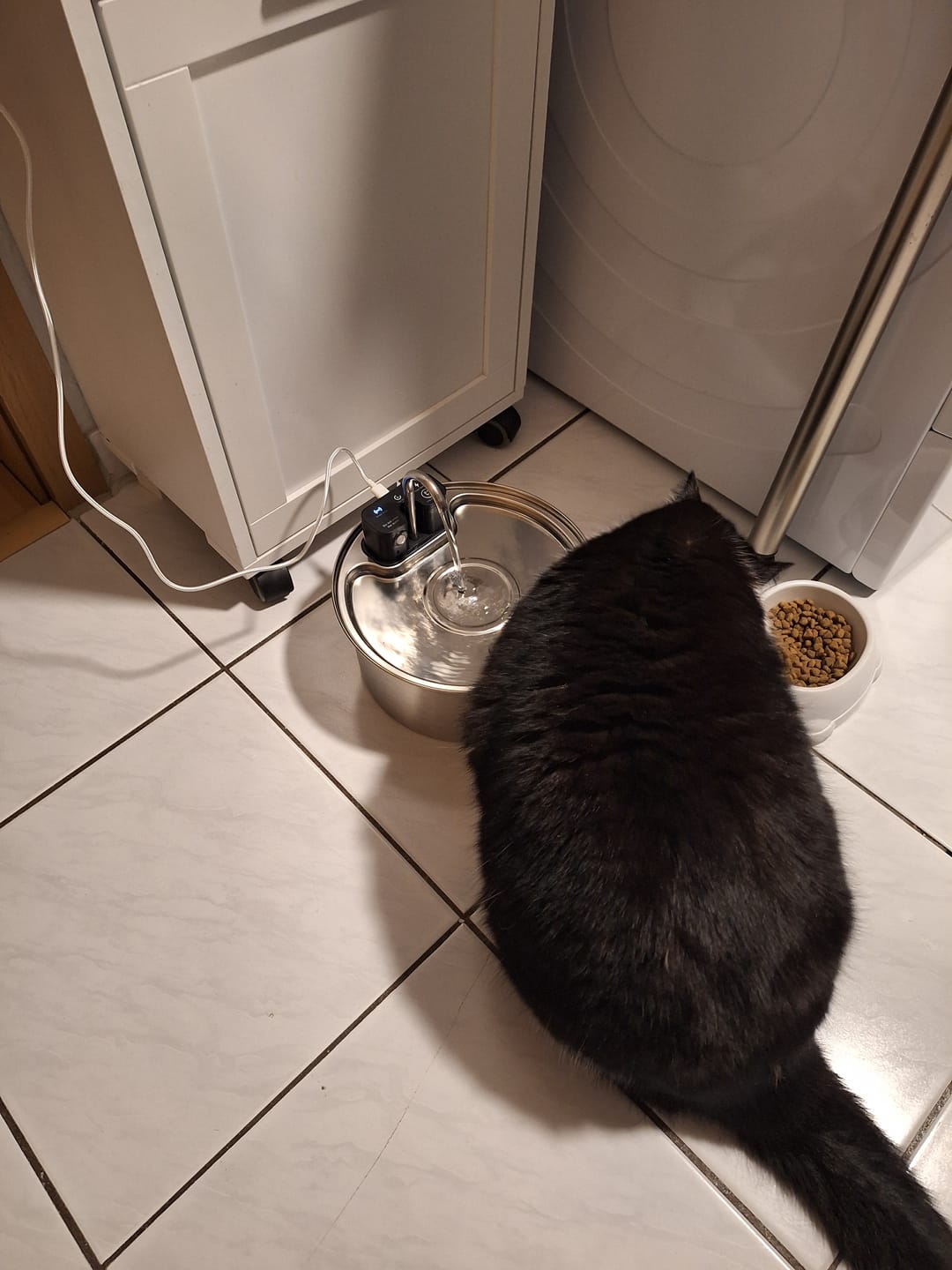 Customer photo review of NordFlow 2.0 Katzenbrunnen