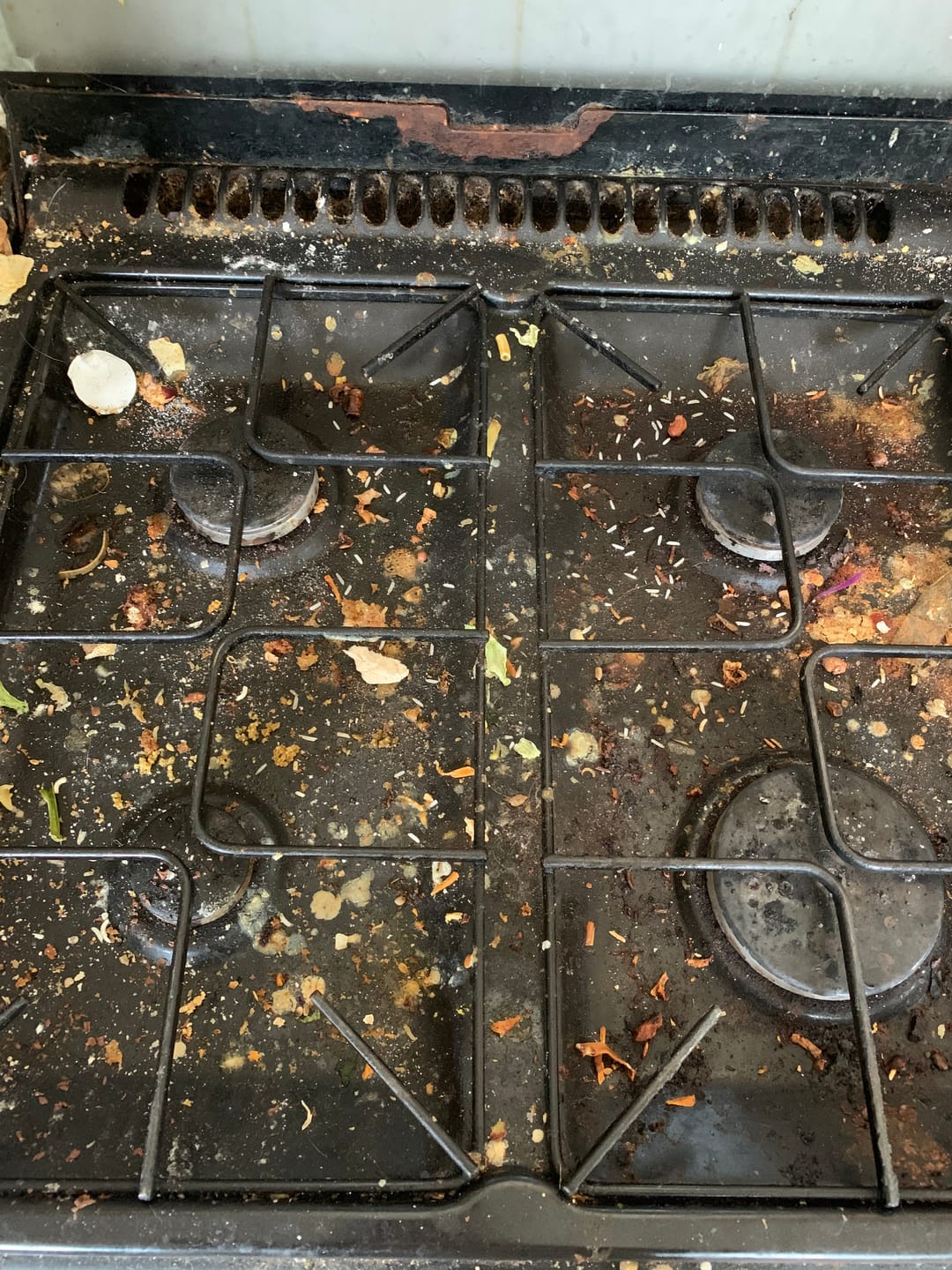 Customer photo review of Clean Ya Oven