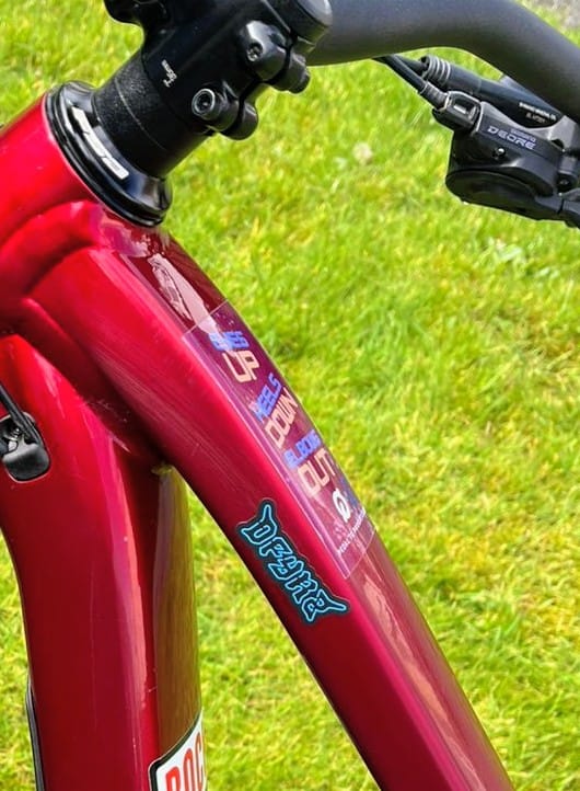 Customer photo review of Lucky Dip | Sticker Sheet