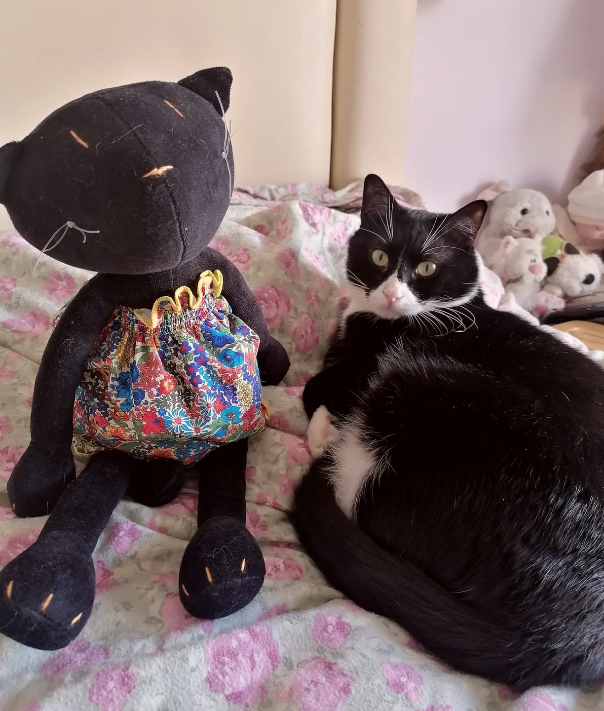 Customer photo review of GISEL LA CHATTE - L