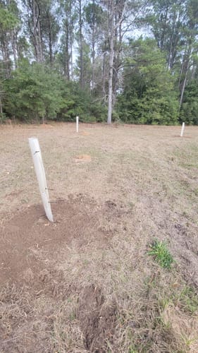 Customer photo review of Tree Pro Grow Tubes