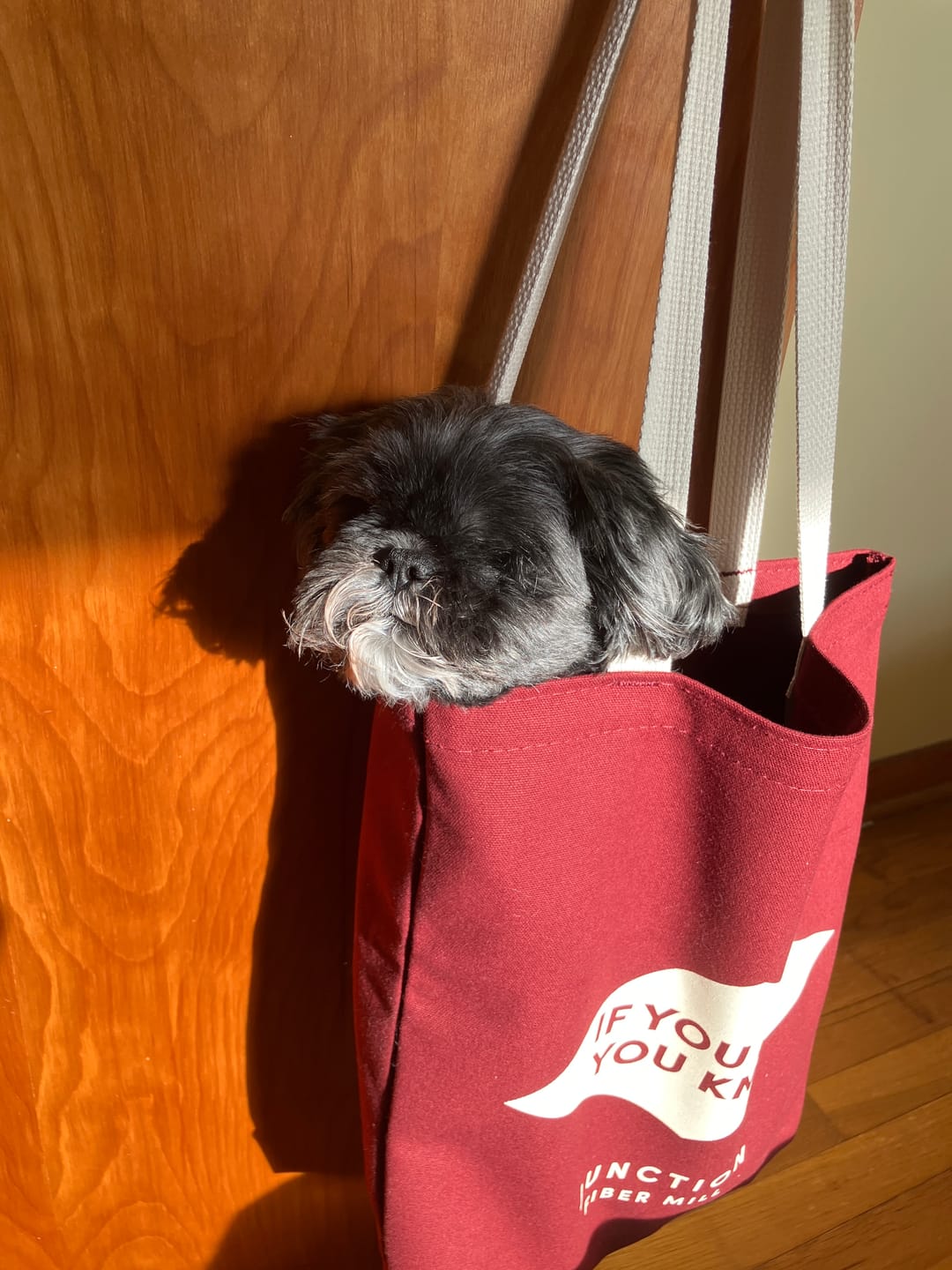 Customer photo review of If You Knit Tote