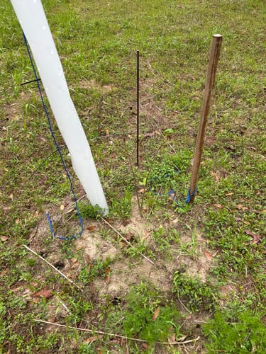 Customer photo review of Hybrid Chestnut