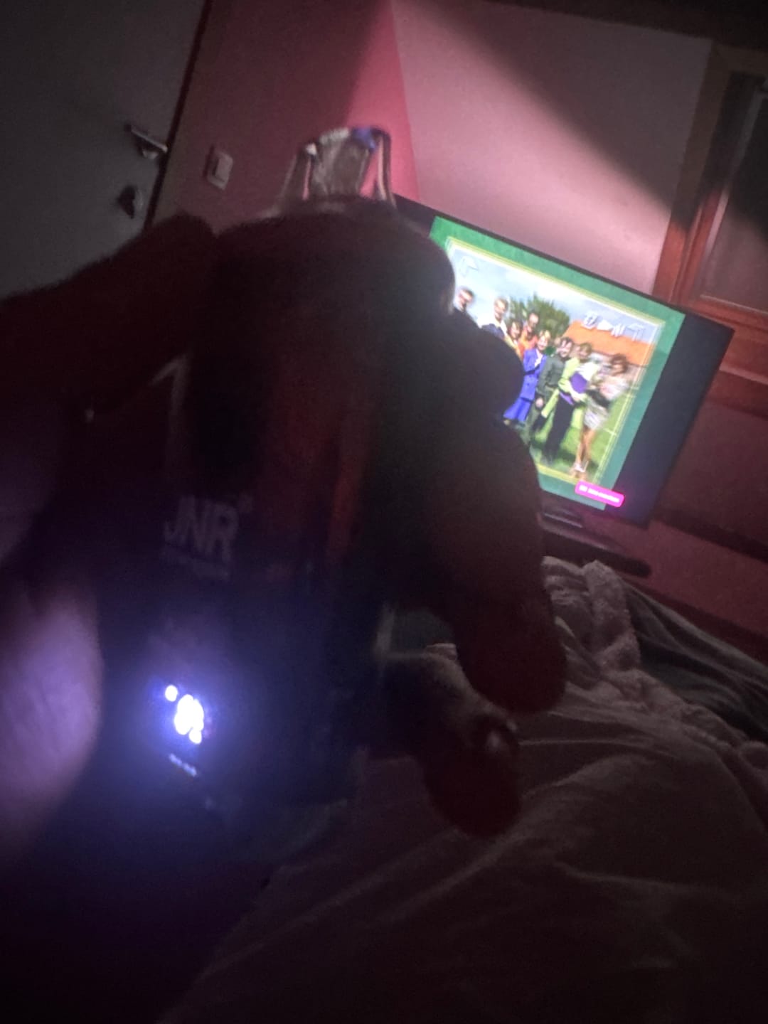 Customer photo review of JNR FALCON X PLUS 28000