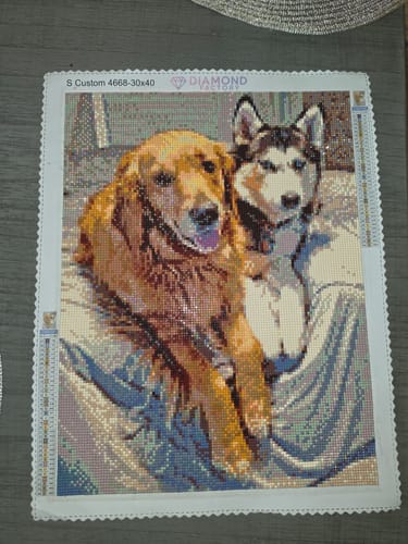 Customer photo review of Custom Diamond Painting Kit