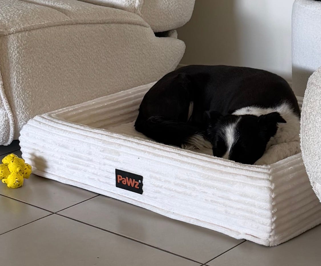 Customer photo review of Orthopaedic Dog Bed – Waterproof & Washable
