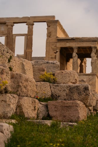 Customer photo review of TIER ONE MEMBERSHIP