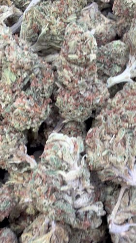 Winter Breath - Bulk - Hybrid photo review