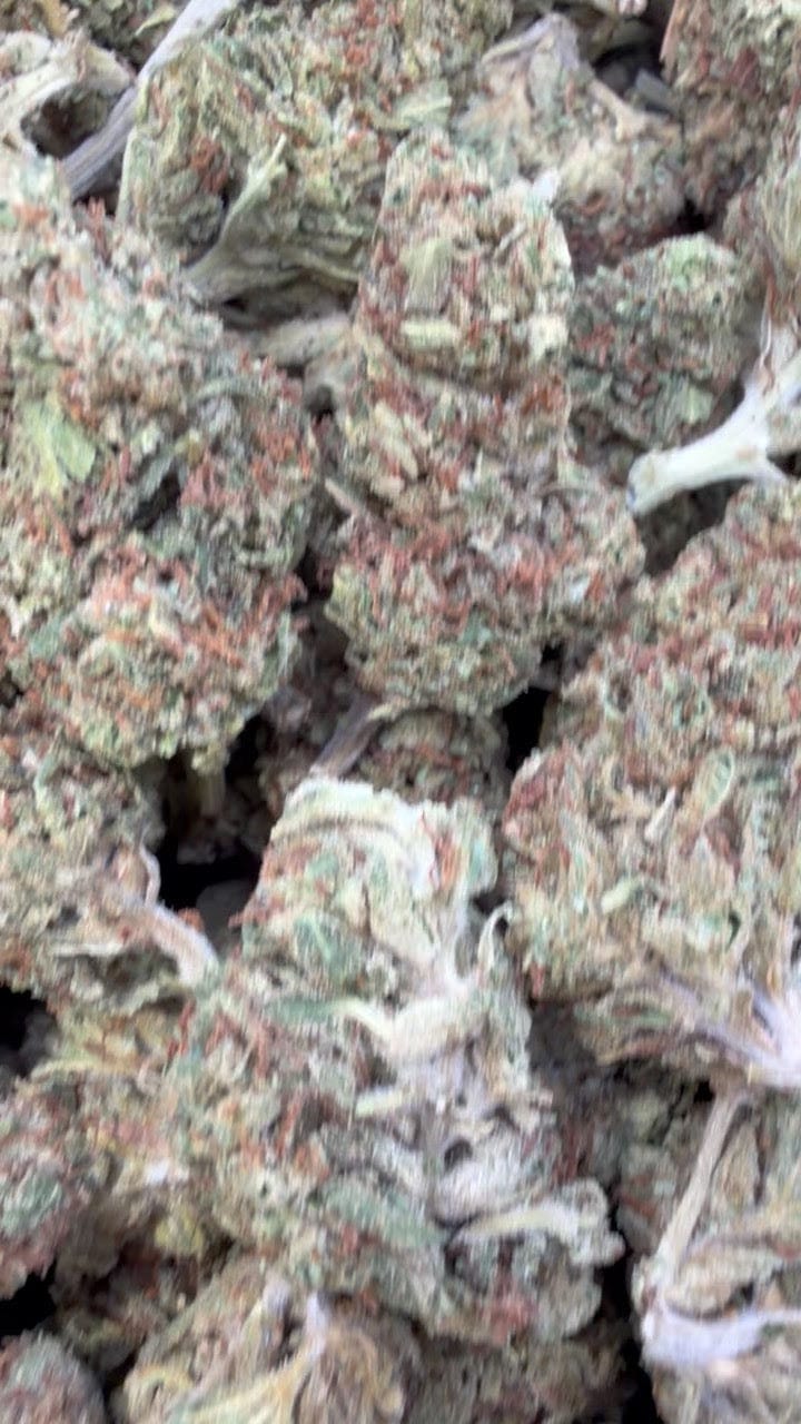 Customer photo review of Winter Breath - Bulk - Hybrid