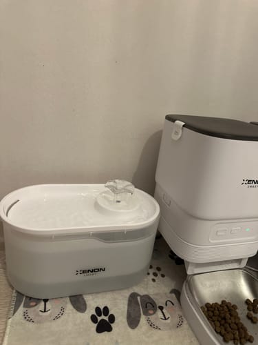 Customer photo review of Kedi Su Pınarı Filtresi (X8650 Uyumlu) | 4'lü Set, Fırça ve Süngerli Yedek Parça (X8780)